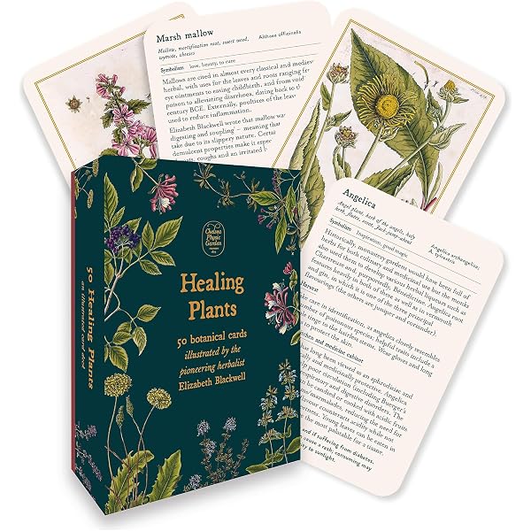 Healing Plants: 50 botanical cards illustrated by the pioneering